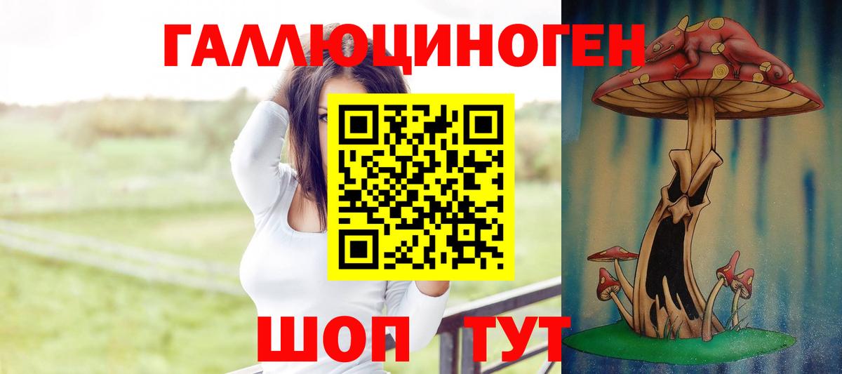 Нижний Новгород  Галлюциногенные грибы прущие грибы  Вход с VPN 