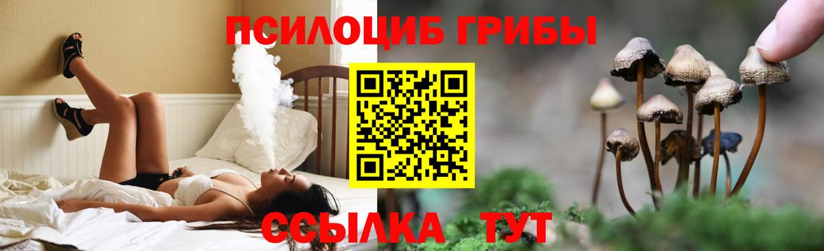 Псилоцибиновые грибы GOLDEN TEACHER Нижний Новгород